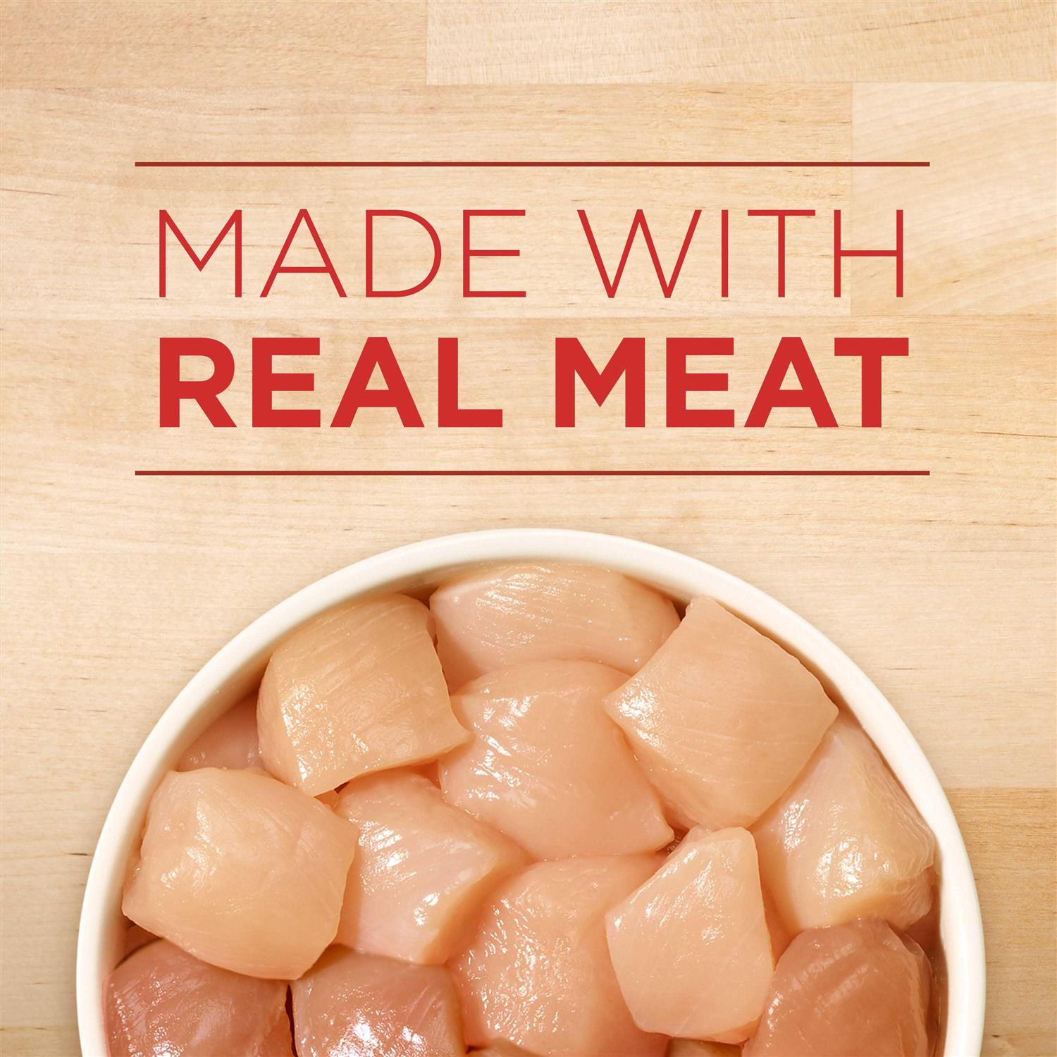 Purina ONE Tender Cuts in Gravy Chicken & Brown Rice Entrée Wet Dog Food - Nail Gallerys