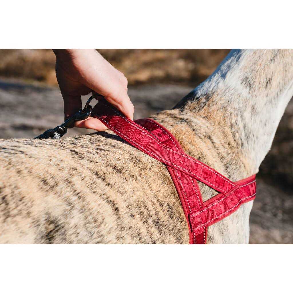 Hurtta Casual Padded Dog Y Harness - Nail Gallerys
