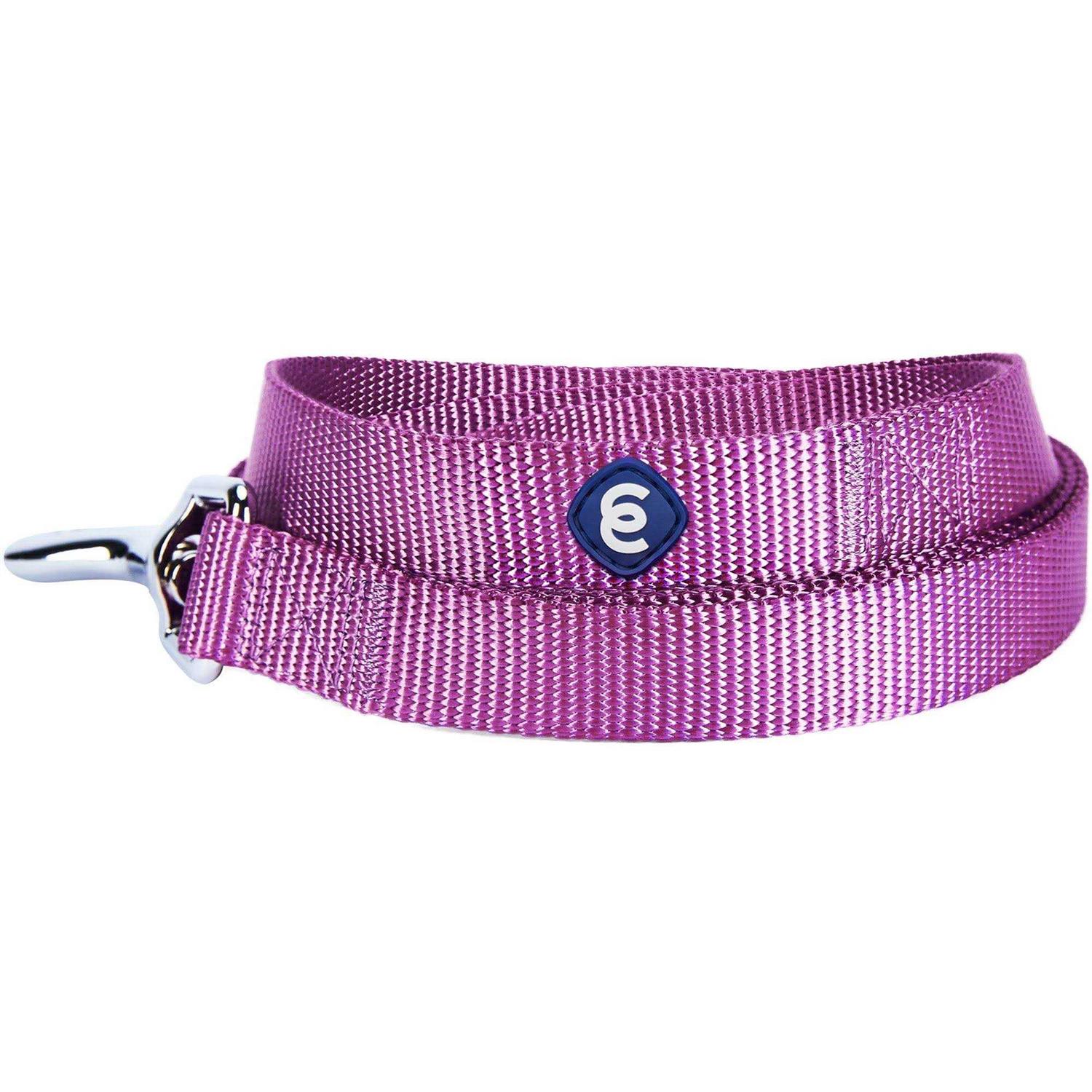 Blueberry Pet Classic Dog Leash - Nail Gallerys