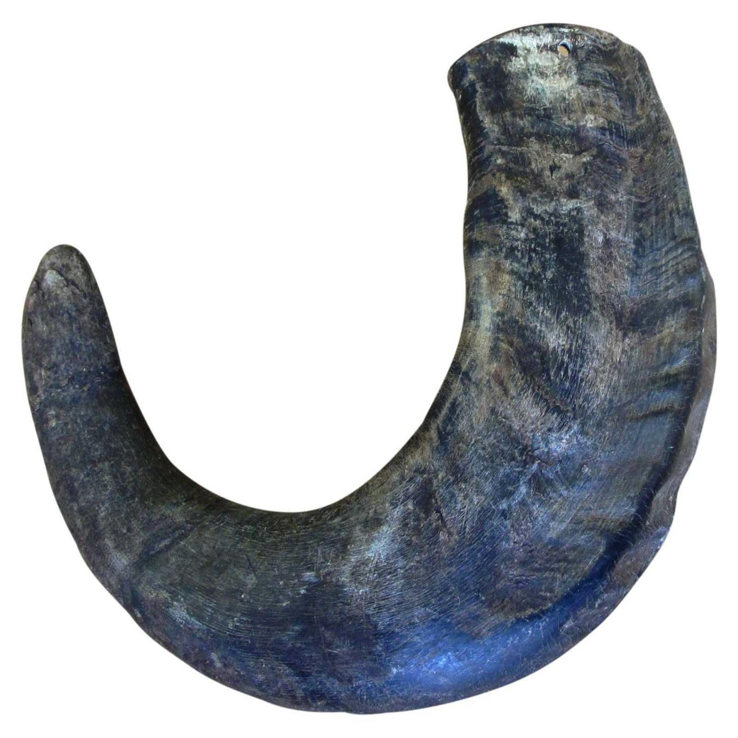 QT Dog Water Buffalo Horn Small - Nail Gallerys