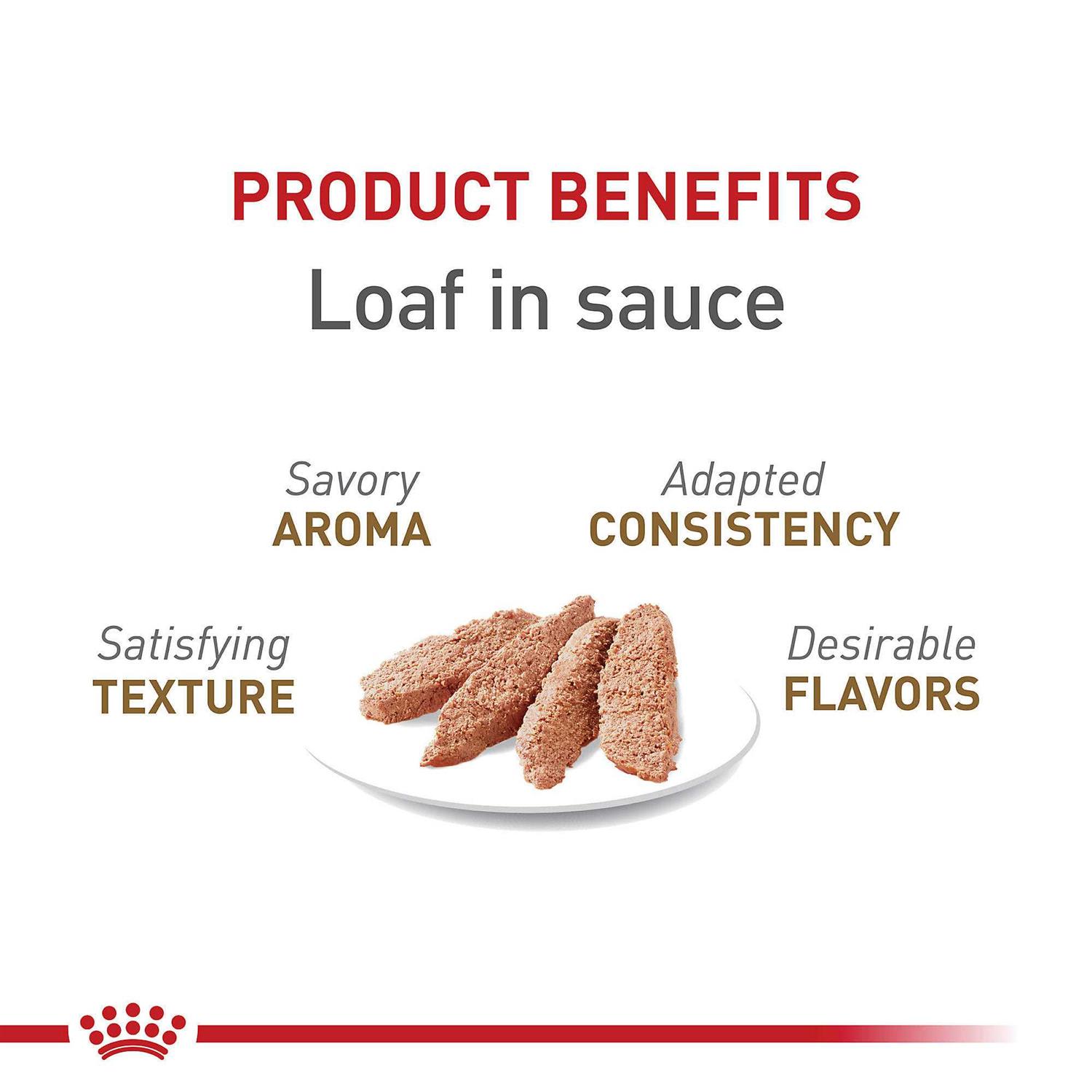 Royal Canin Feline Health Nutrition Aging 12+ Loaf in Sauce Canned Cat Food - Nail Gallerys