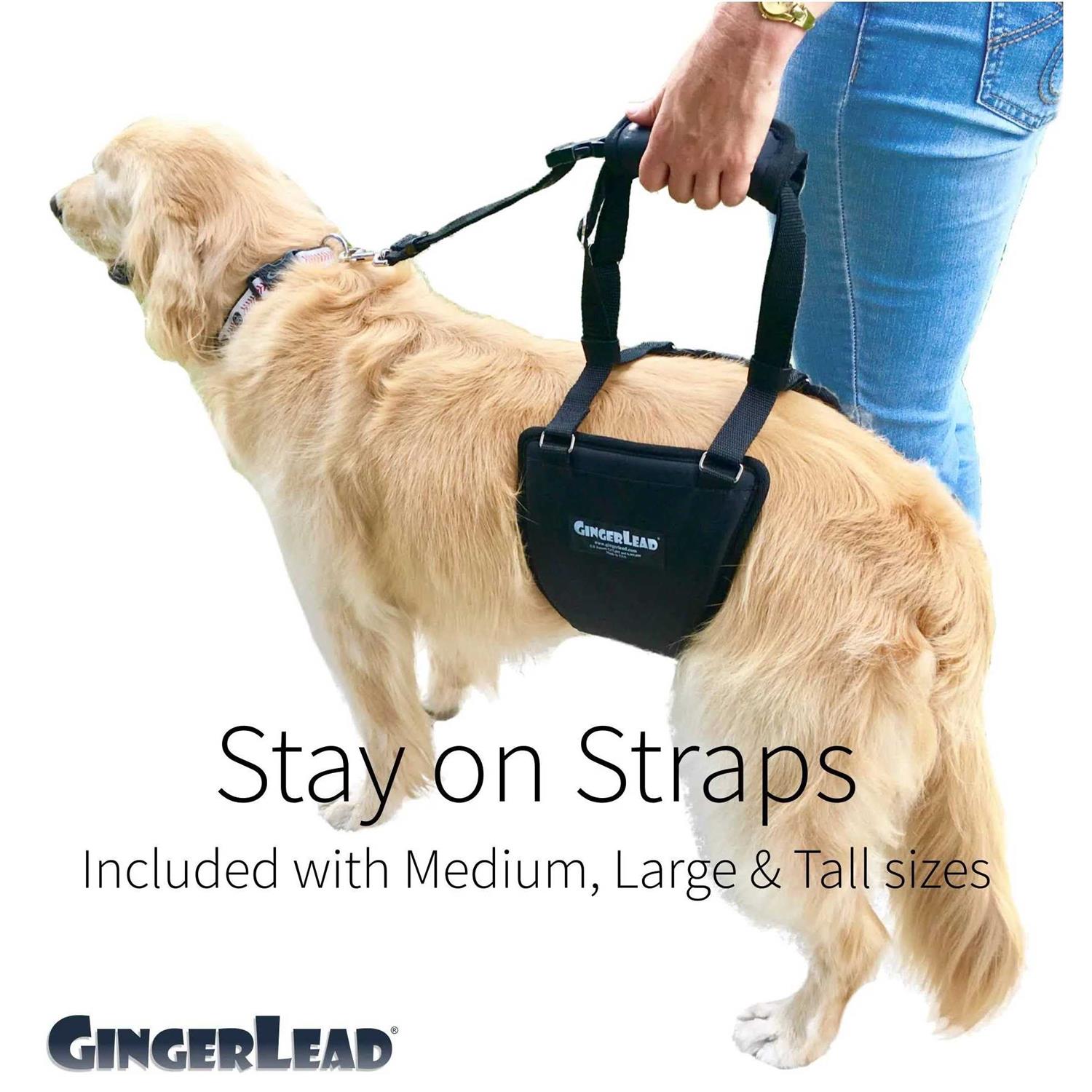 GingerLead Dog Support Rehabilitation Harness - Nail Gallerys