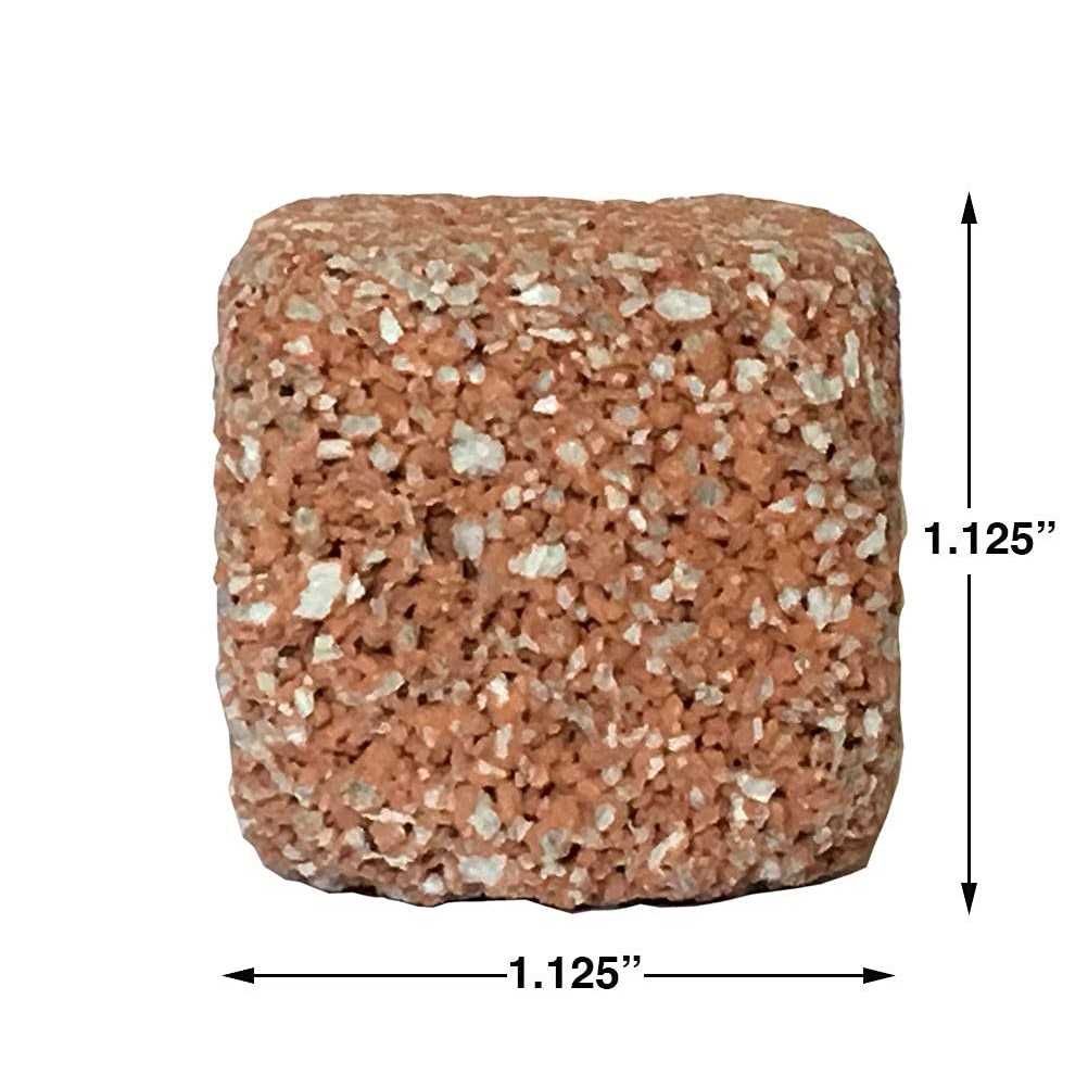 EcoBio-Block Stone Natural Volcanic Water Clarifier and Odor Remover Rock for Aquariums - Nail Gallerys