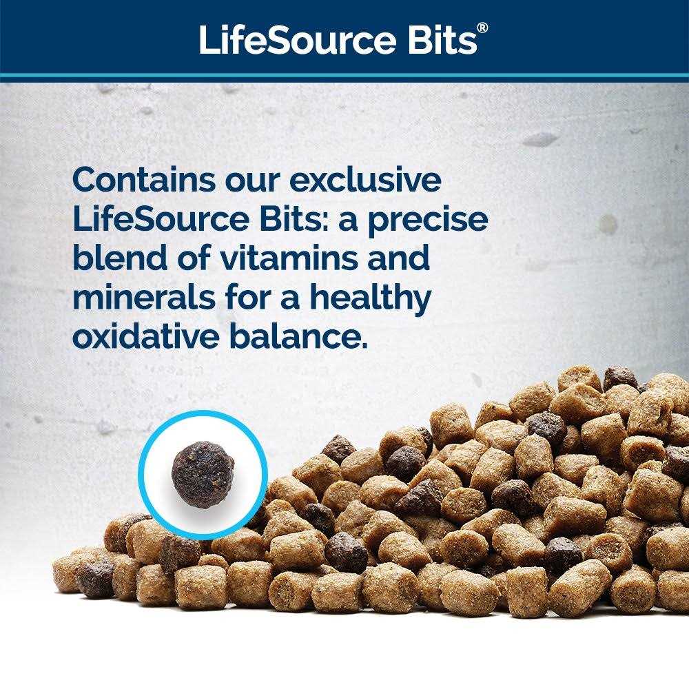 Blue Buffalo Wilderness Rocky Mountain Recipe High Protein Dry Cat Food - Nail Gallerys