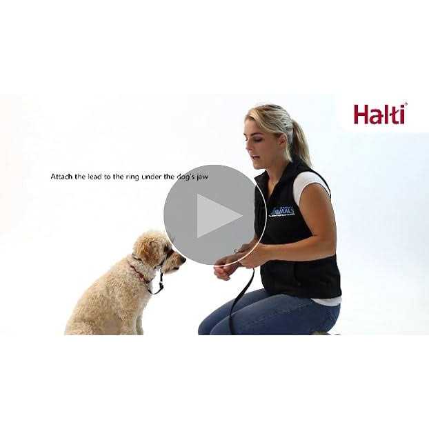 Halti Optifit Headcollar - Nail Gallerys