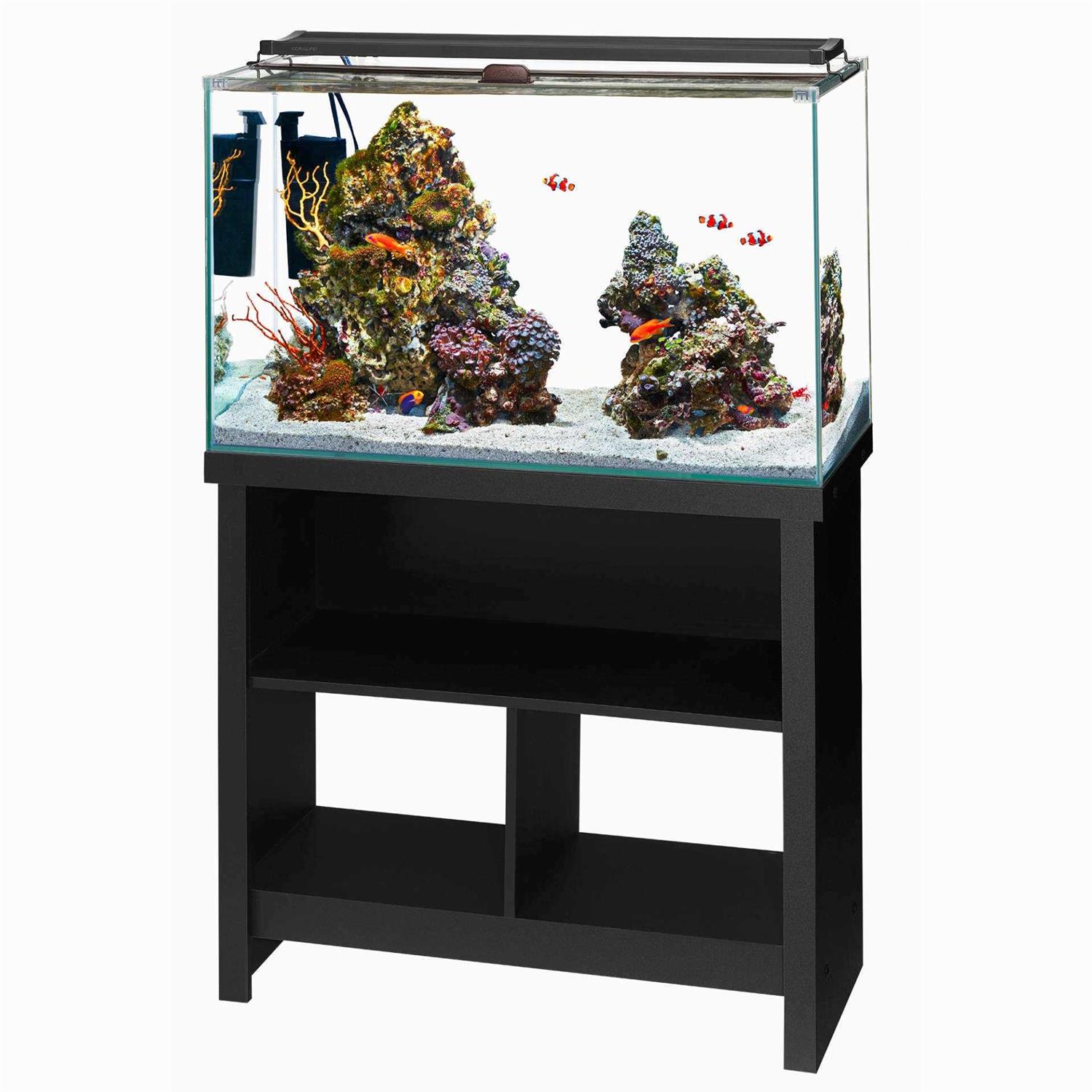 Aqueon Frameless Cube Aquarium - Nail Gallerys