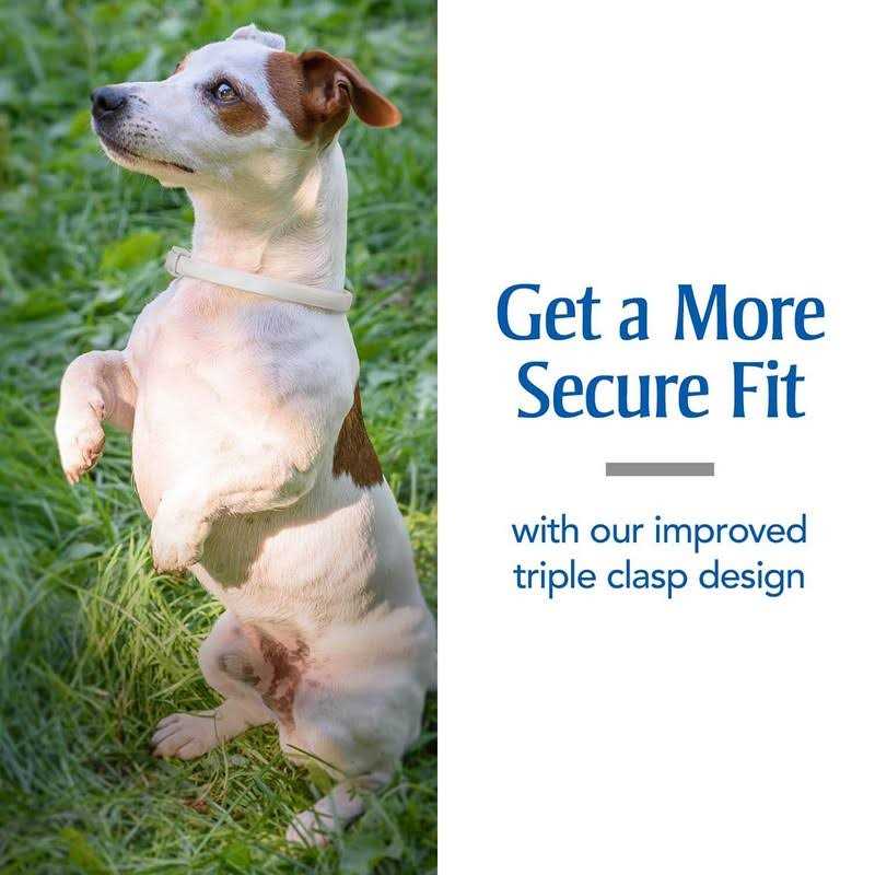 PetArmor Plus Flea & Tick Collar for Dogs - Nail Gallerys