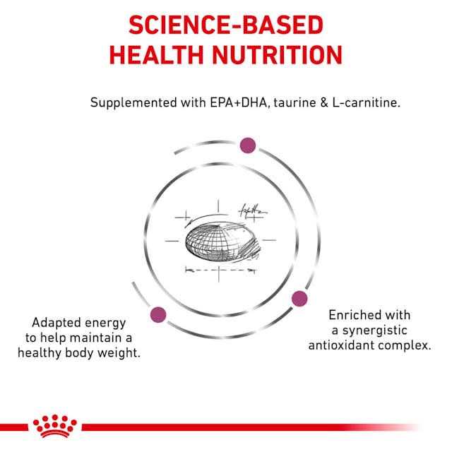 Royal Canin Veterinary Diet Canine Renal Support D Morsels in Gravy Canned Dog Food - Nail Gallerys