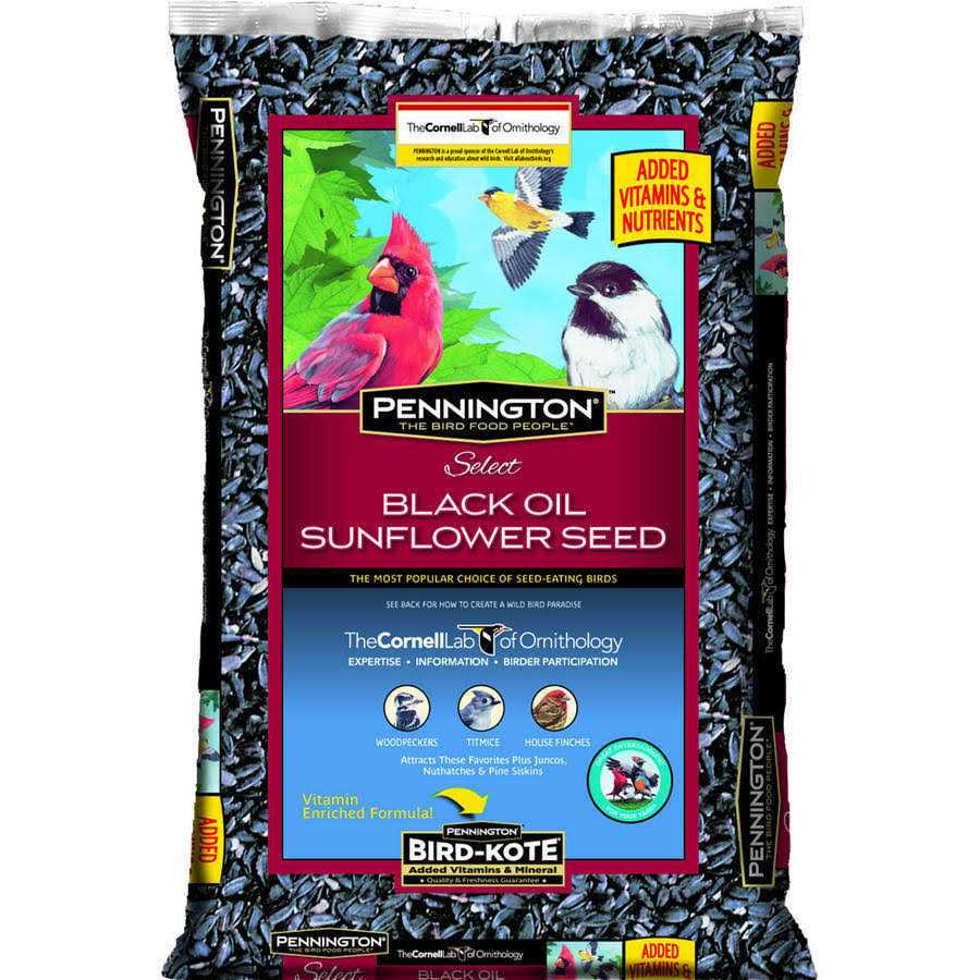 Pennington Select Black Oil Sunflower Seed Wild Bird Feed - Nail Gallerys
