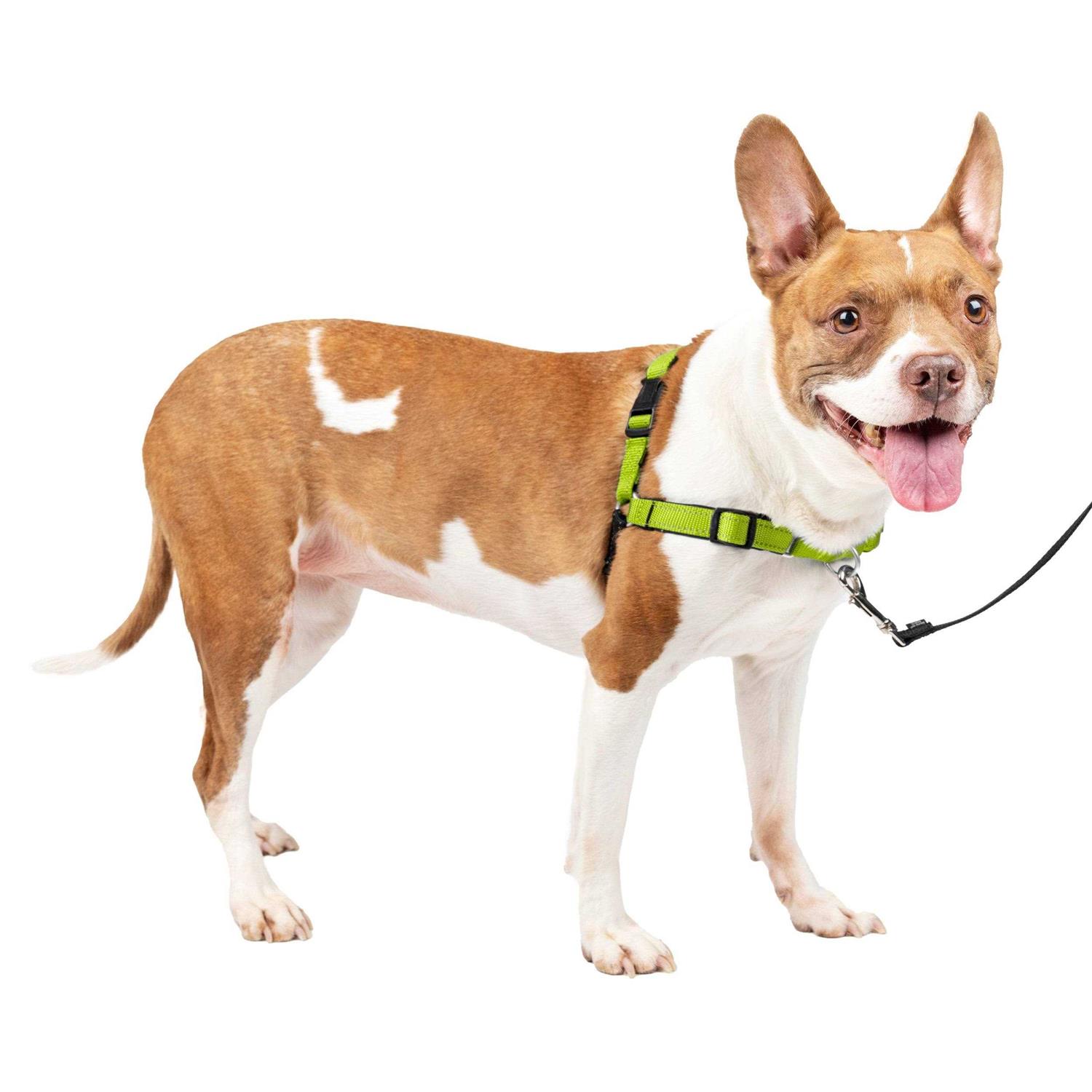 PETSAFE Easy Walk Harness - Nail Gallerys