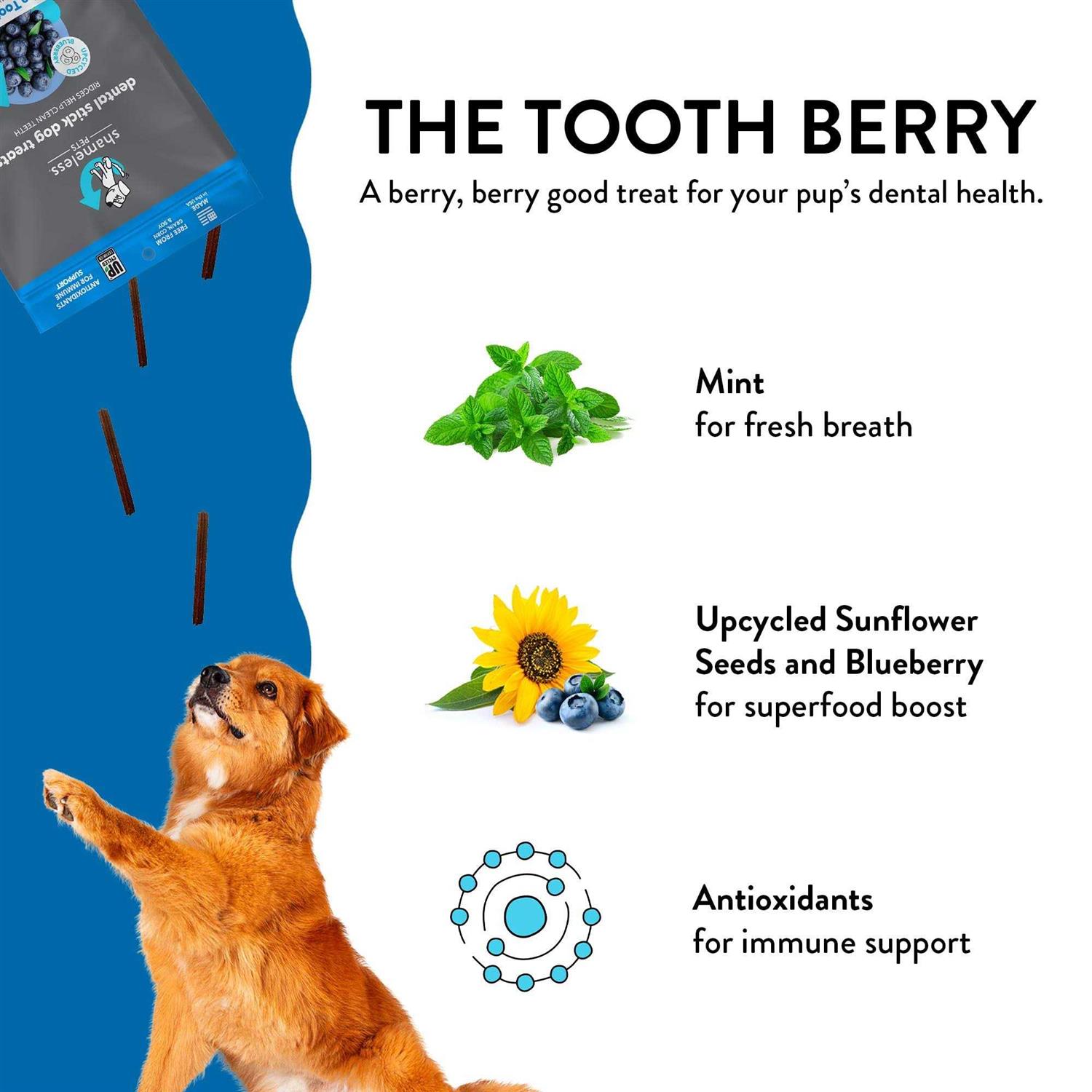 Shameless Pets Dental Stick Dog Treats The Tooth Berry - Nail Gallerys