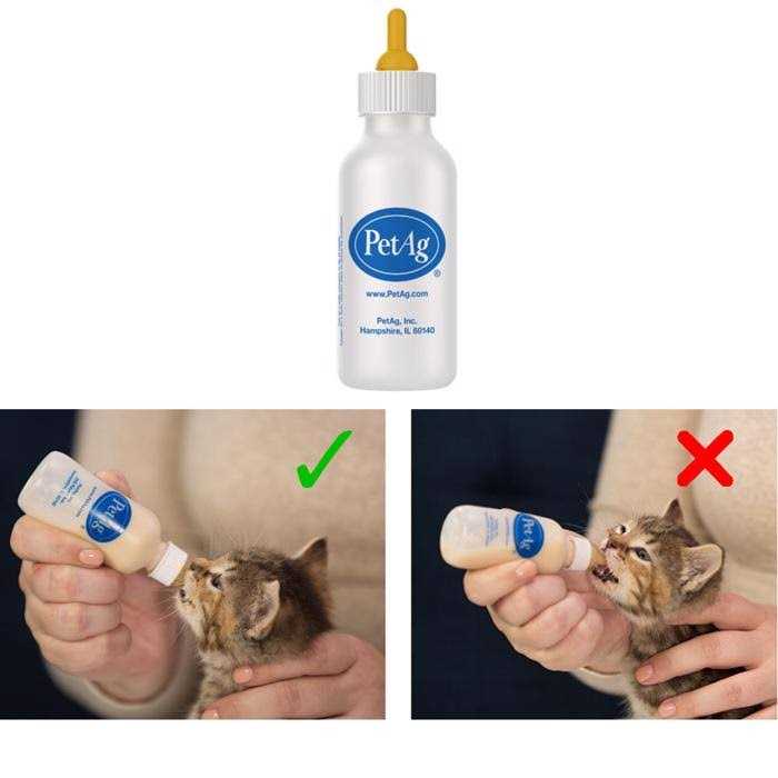 PetAg Nurser Bottle - Nail Gallerys