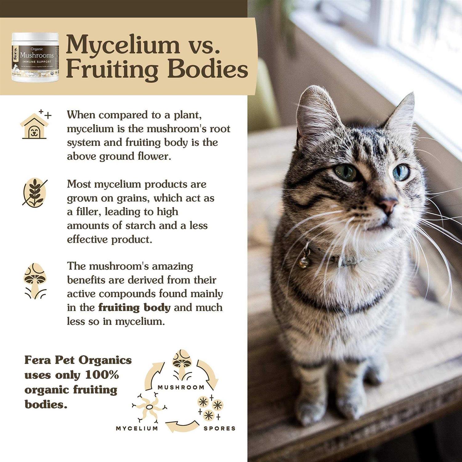 Fera Pet Organics USDA Organic Mushrooms Immune Support for Dogs & Cats - Nail Gallerys