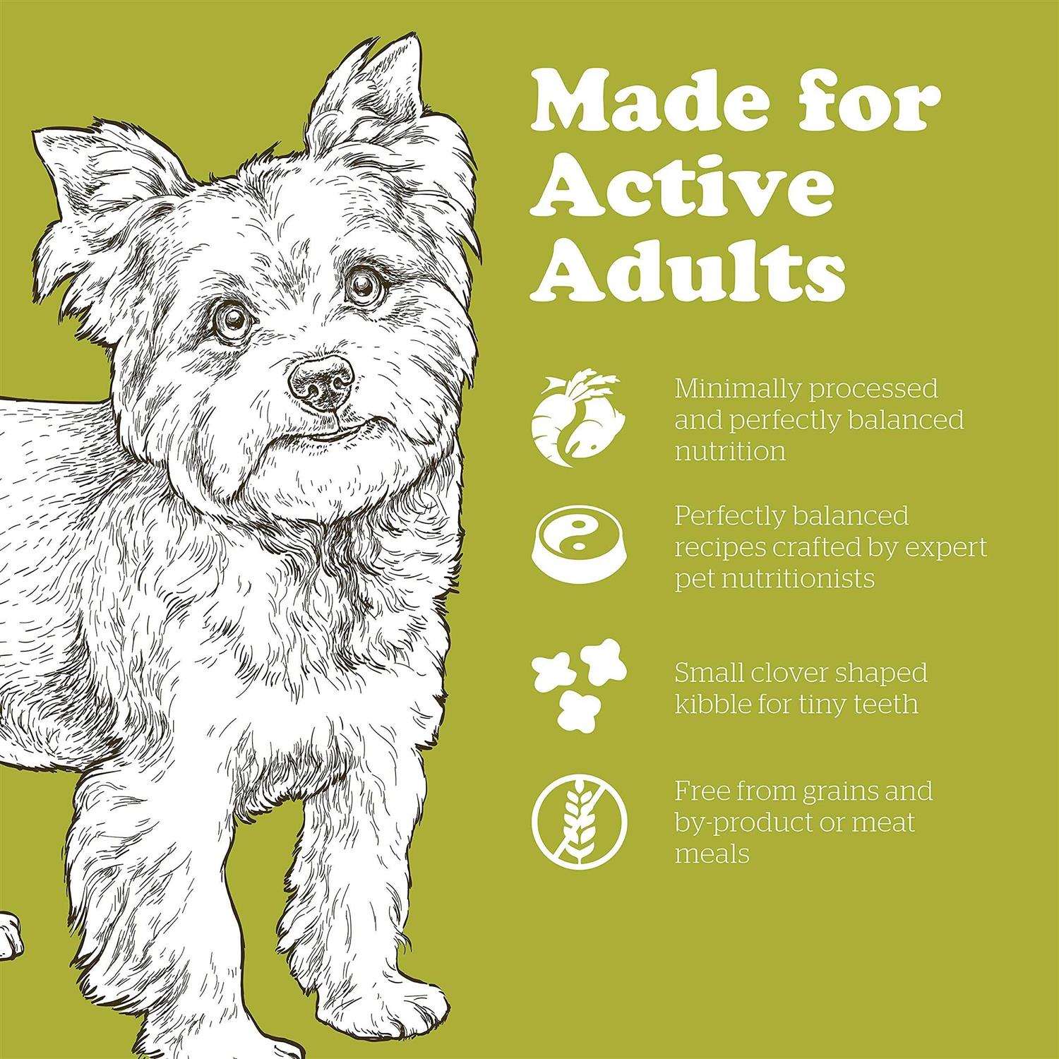 Now Fresh Grain-Free Small Breed adult Recipe Dry Dog Food - Nail Gallerys