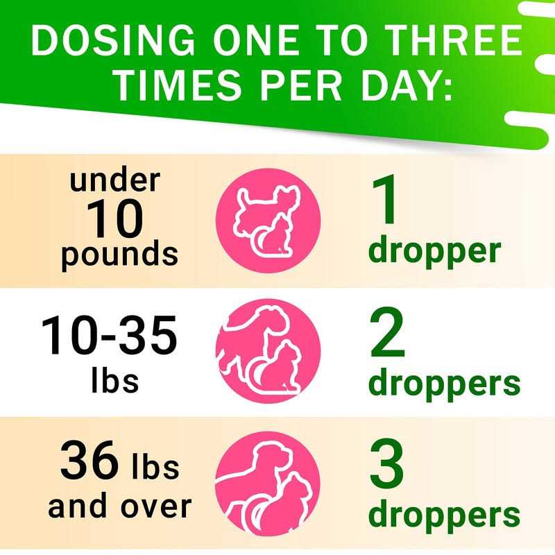 Kennel Cough Drops for Dogs and Cats 2oz Pet Herbal Remedy - Nail Gallerys