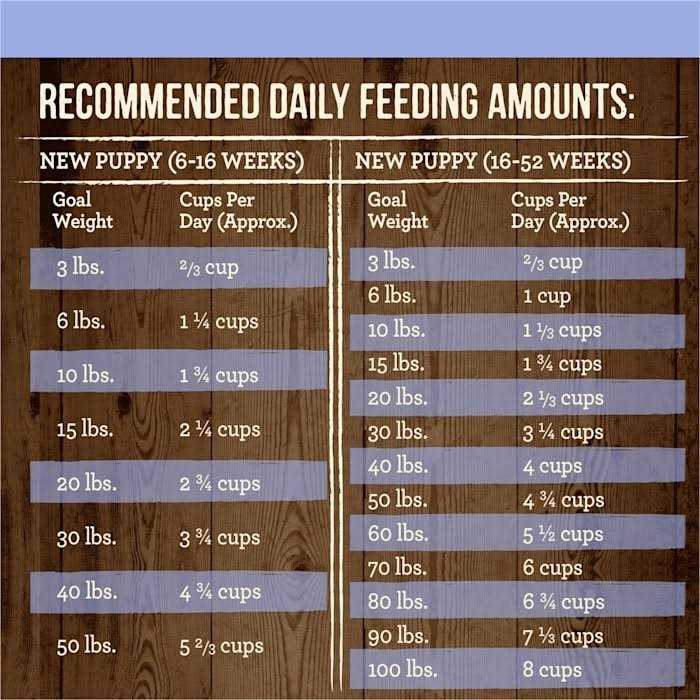 Merrick Grain Free Real Beef & Sweet Potato Puppy Recipe Dry Dog Food - Nail Gallerys