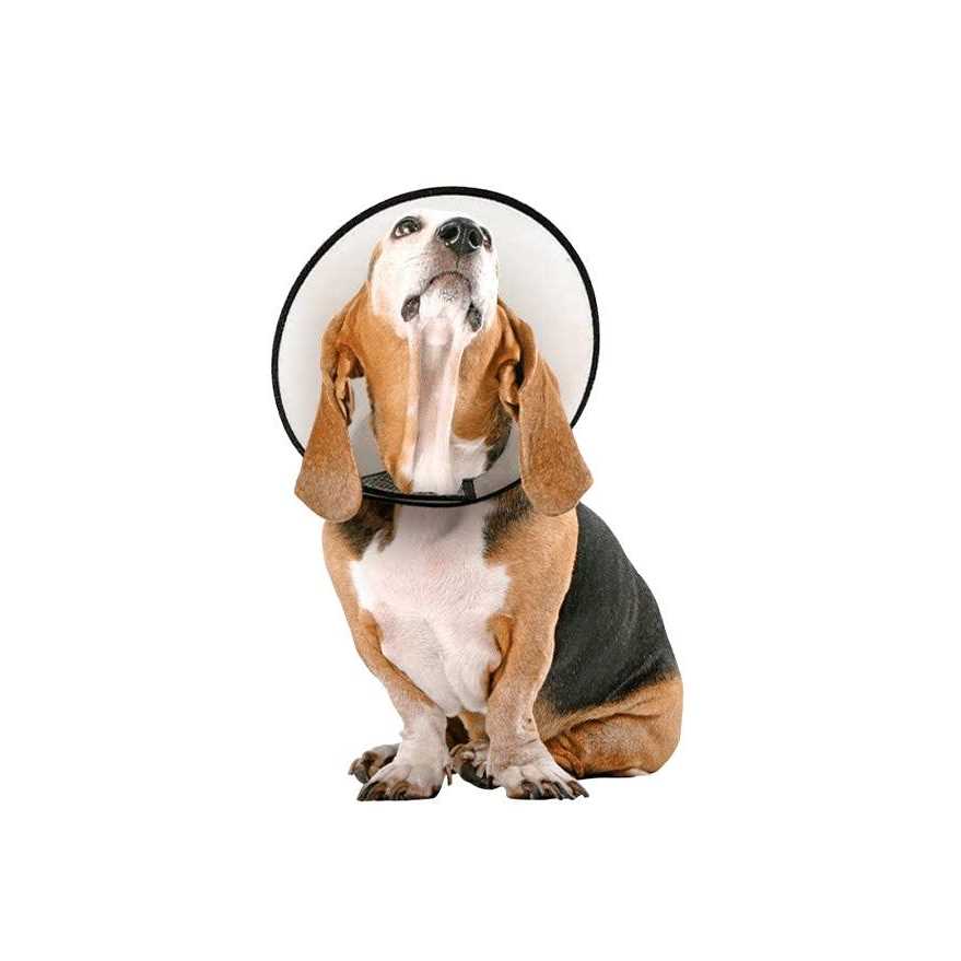 Vet Worthy Protective Cone Collar - Nail Gallerys