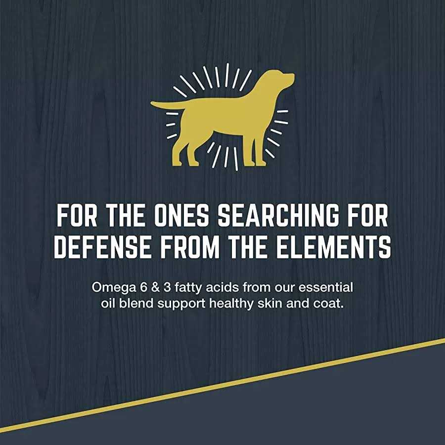 Black Gold Explorer Dry Dog Food Original Performance Formula - Nail Gallerys