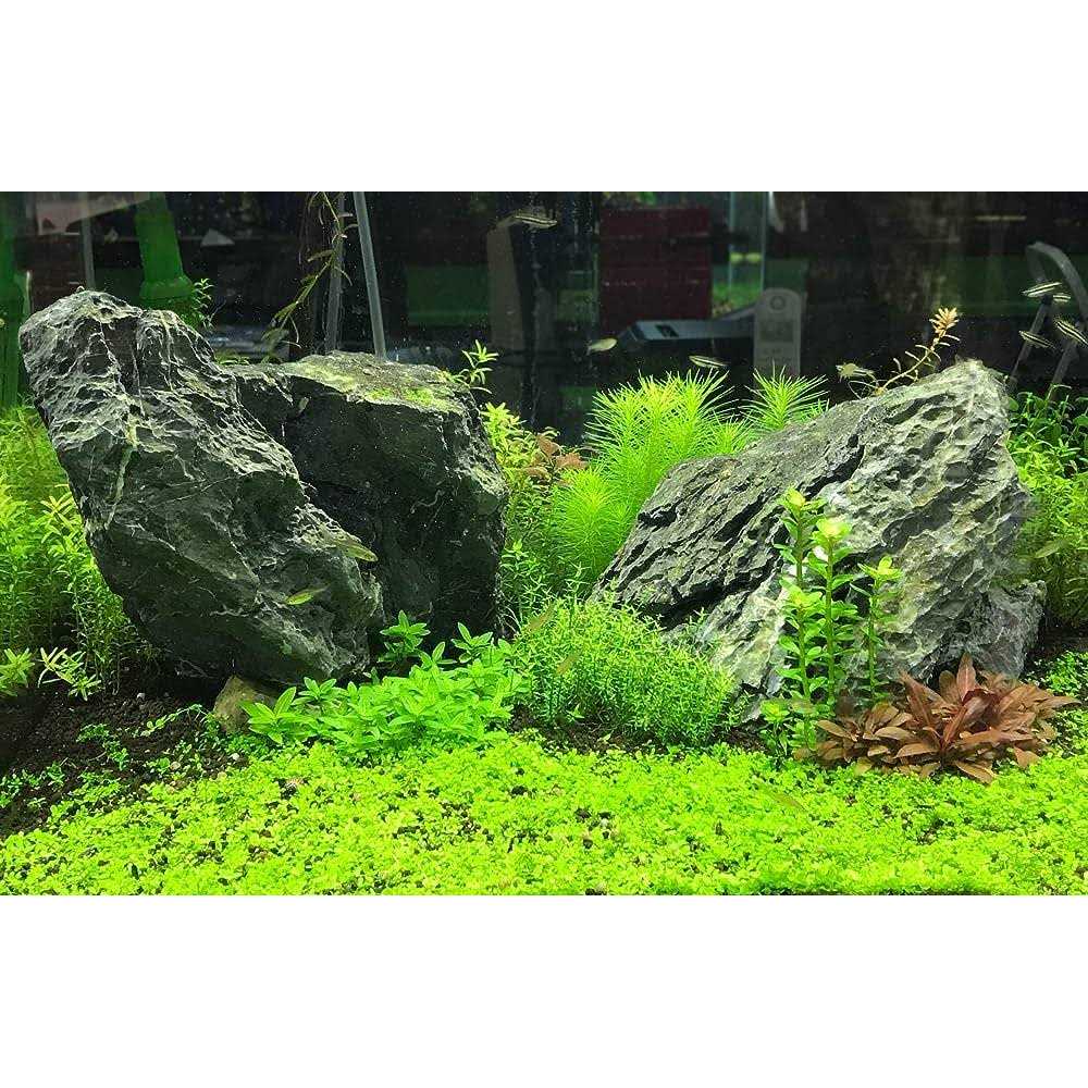 Flourish Excel Seachem - Nail Gallerys