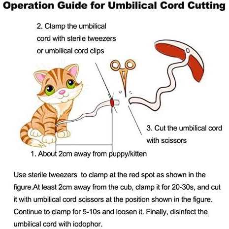 WEEGEEKS Whelping Kit,Whelping Kit for Puppies Birth with 12pcs Whelping Collars,Puppy Feeding Tube etc,Newborn Puppy Whelping Supplies - Nail Gallerys