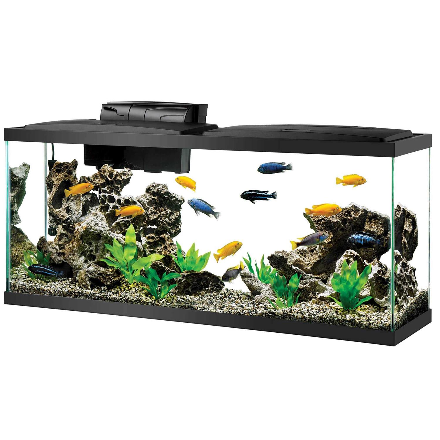 Aqueon Aquarium Kit LED - Nail Gallerys