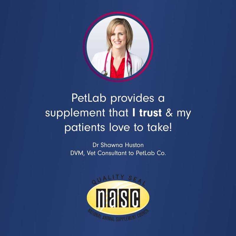 PetLab Co. Probiotic Digestive Supplement Pork Flavored Soft Chews for Dogs, 30 count - Nail Gallerys