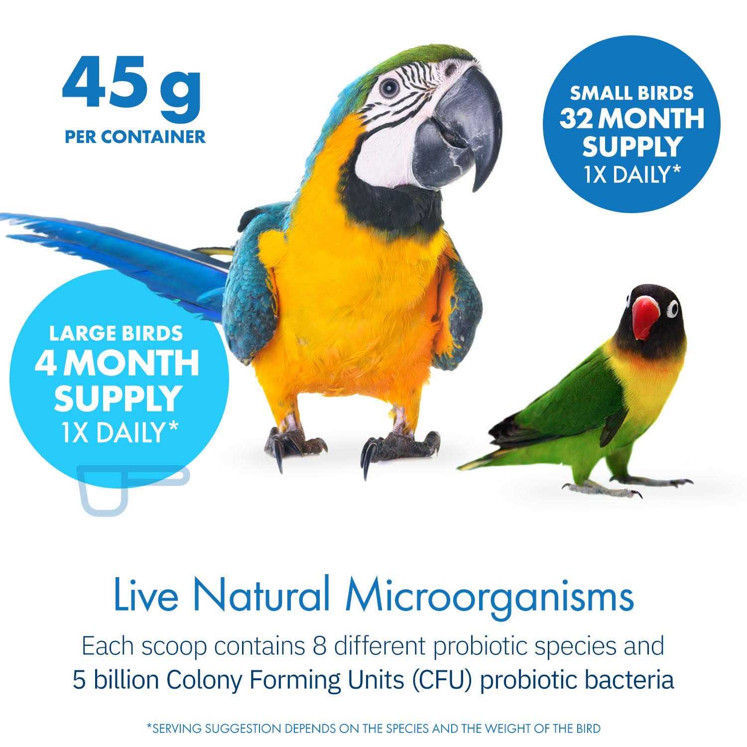 Equa Holistics Avian Probiotics Dietary Supplement for Parrots - Nail Gallerys
