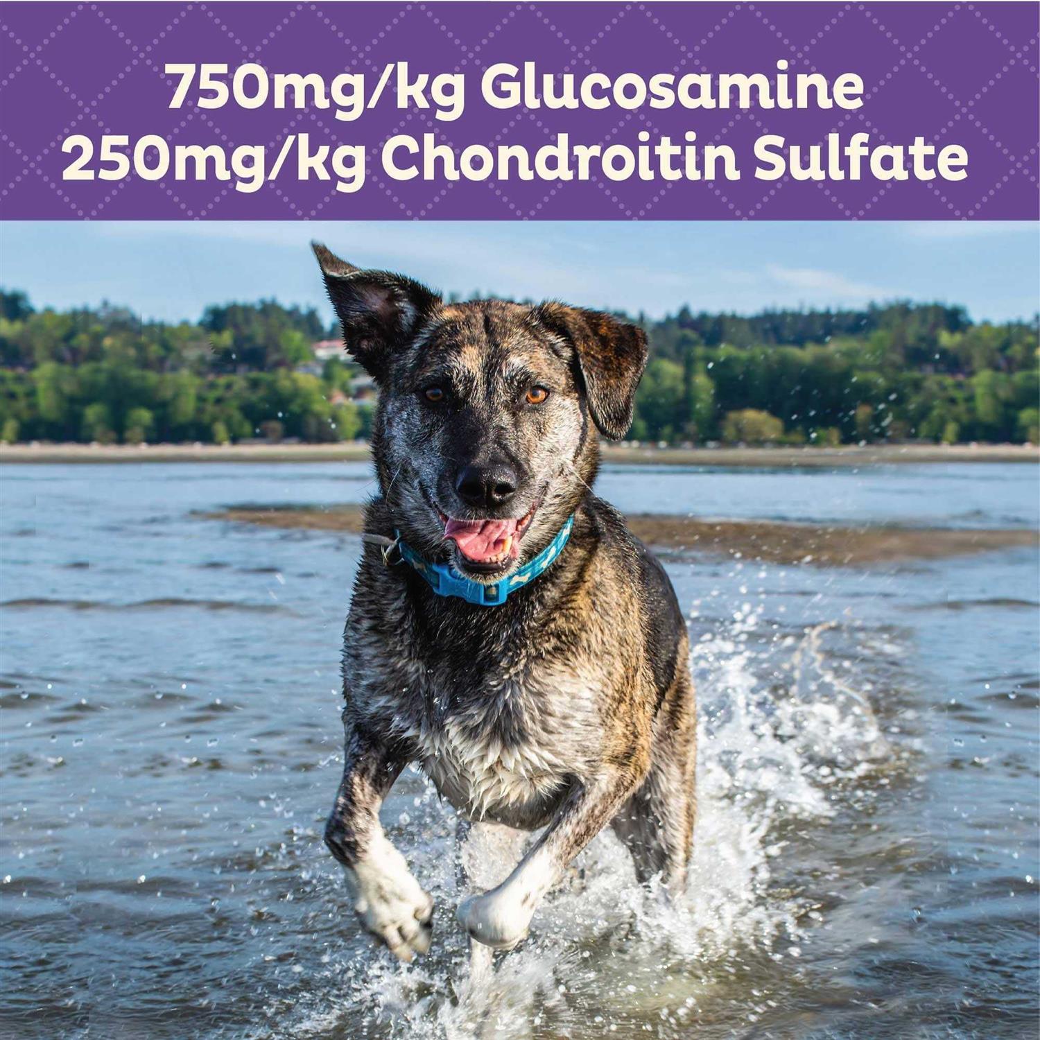 Old Mother Hubbard Mother’s Solutions Hip & Joint Baked Dog Treats - Nail Gallerys