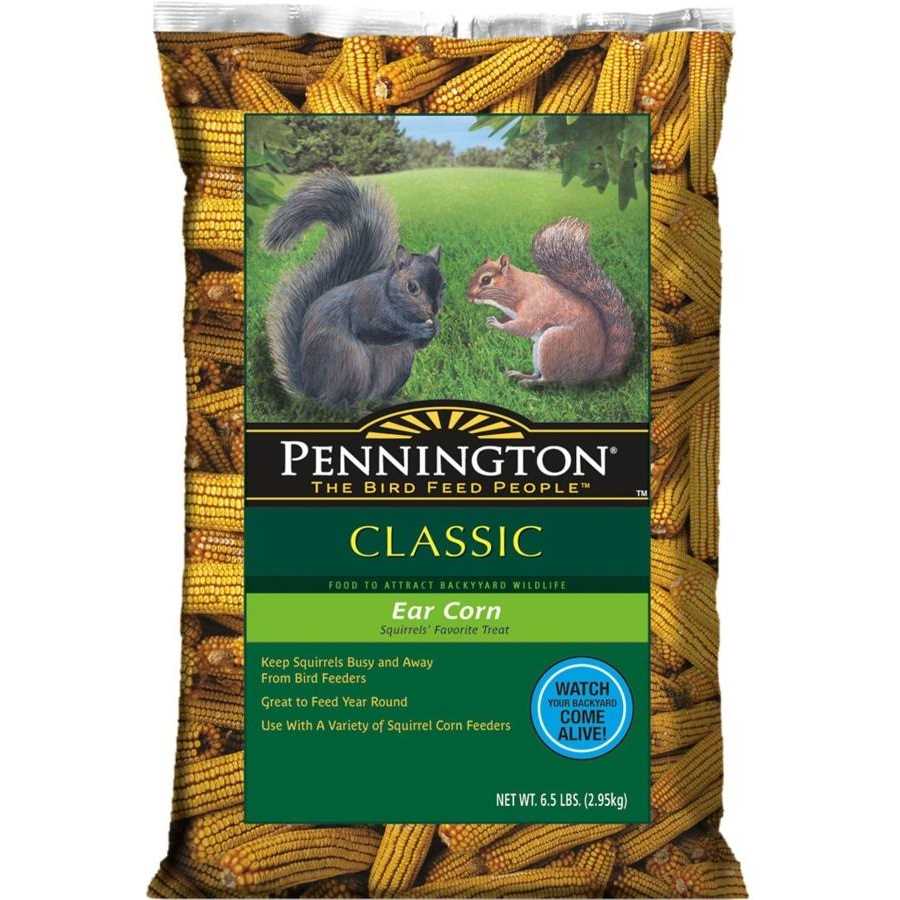 Pennington Classic Whole Ear Corn, Squirrel and Critter Feed - Nail Gallerys