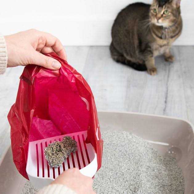 Ubbi Pet Waste Sacks, Lavender Scented Cat Litter Disposal Bags, Leak Proof and Easy Tie - Nail Gallerys