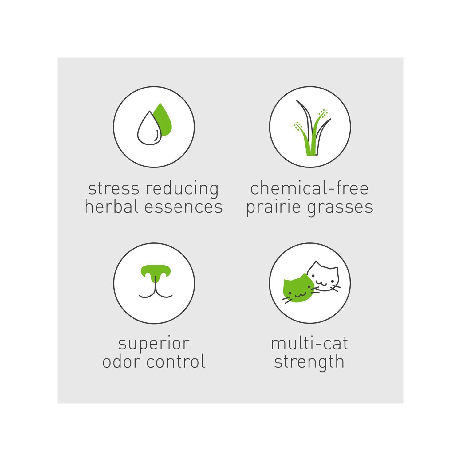 Dr. Elsey’s Precious Cat Touch of Outdoors Cat Litter - Nail Gallerys