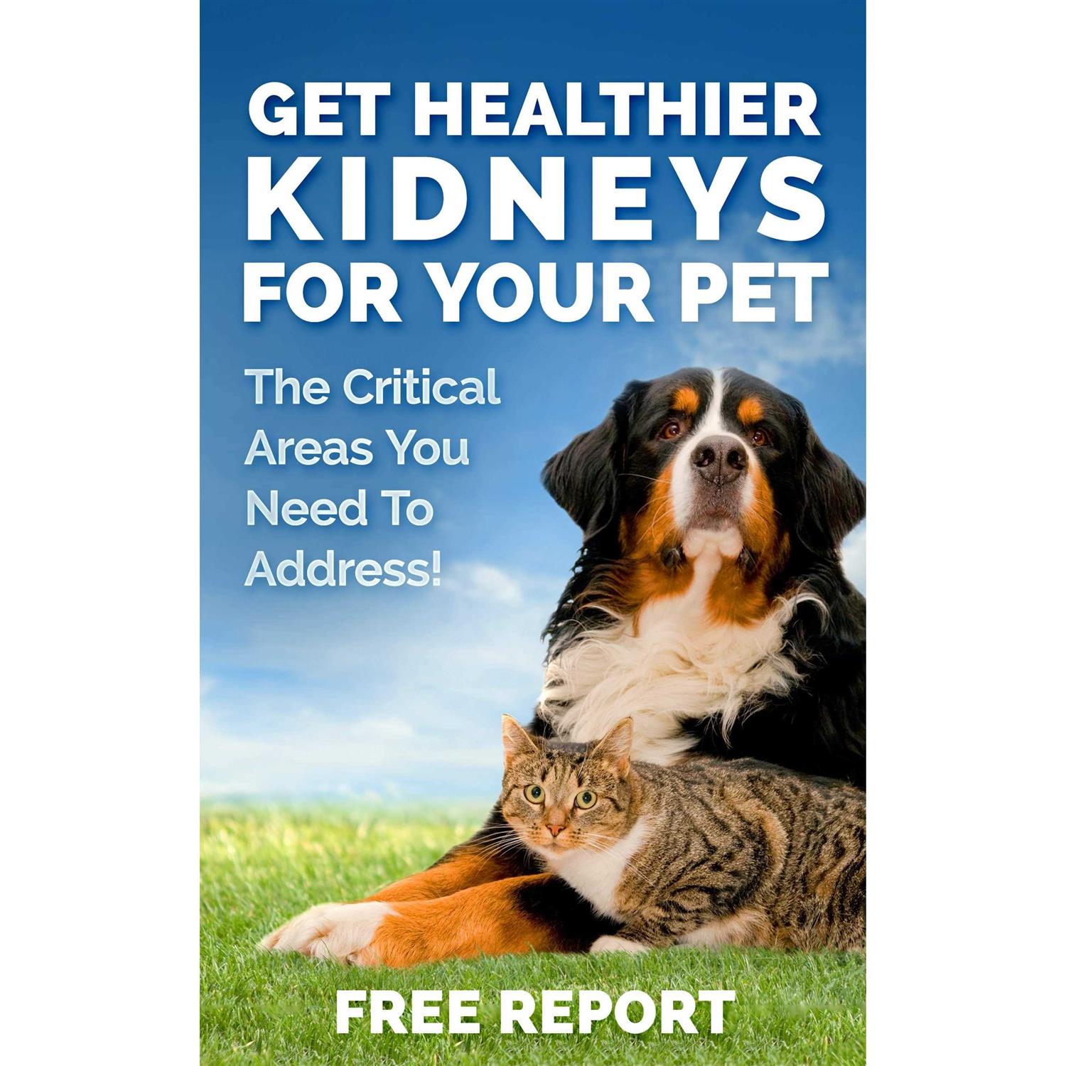 Dog and Cat Kidney Support Canine Feline Renal Health Support Supplement for Normal Kidney Function - Nail Gallerys