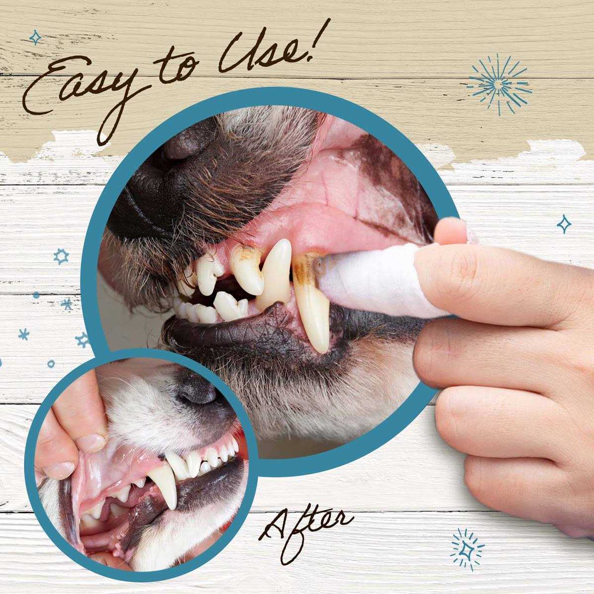 Dr. Pol Dental Wipes for Dogs & Cats 50 Count - Nail Gallerys