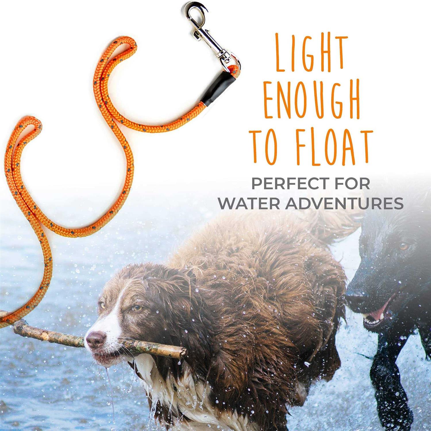 Mighty Paw Check Cord Light Weight 30 Foot Dog Training Leash. Durable - Nail Gallerys