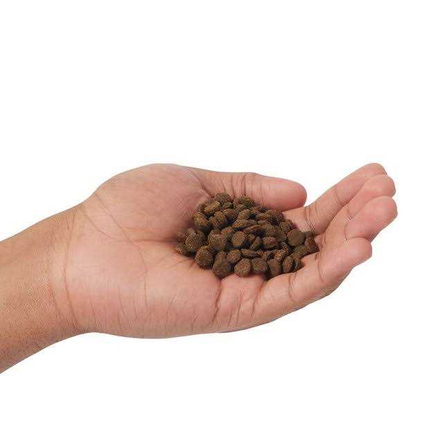 Farmina N&D Prime Grain Free Cat Dry Food Lamb & Blueberry - Nail Gallerys