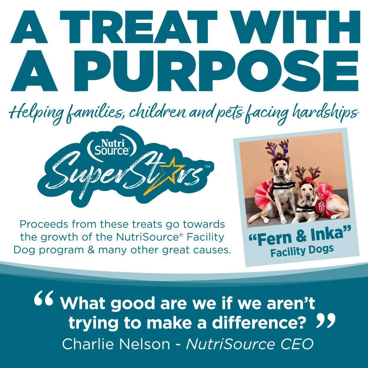 NutriSource Chicken Dog Training Treats - Nail Gallerys