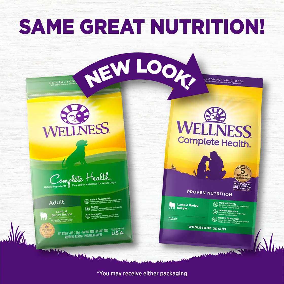 Wellness Complete Health Lamb & Barley Dry Dog Food - Nail Gallerys