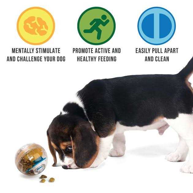 Pet Zone IQ Treat Ball Dog Toy 4 - Nail Gallerys