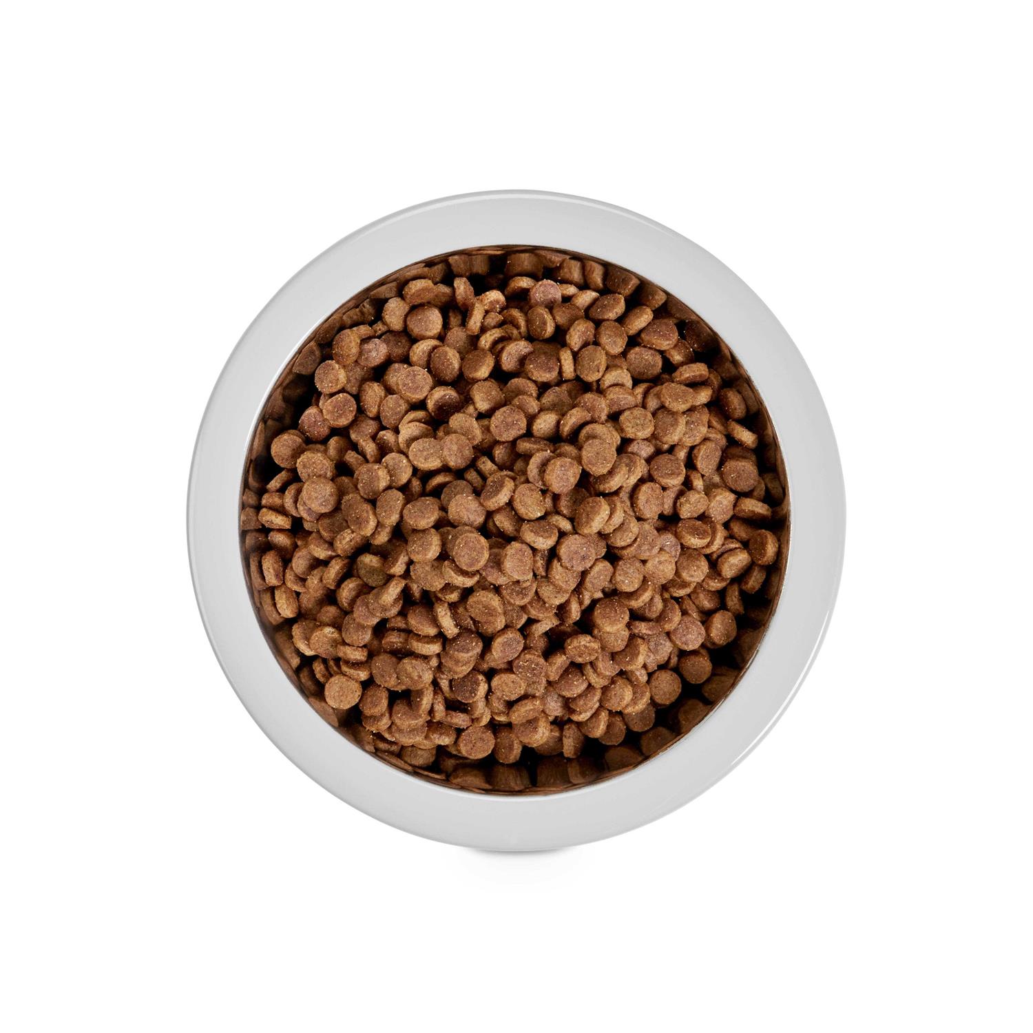 EveryYay Stainless-Steel Grey Dog Bowl - Nail Gallerys