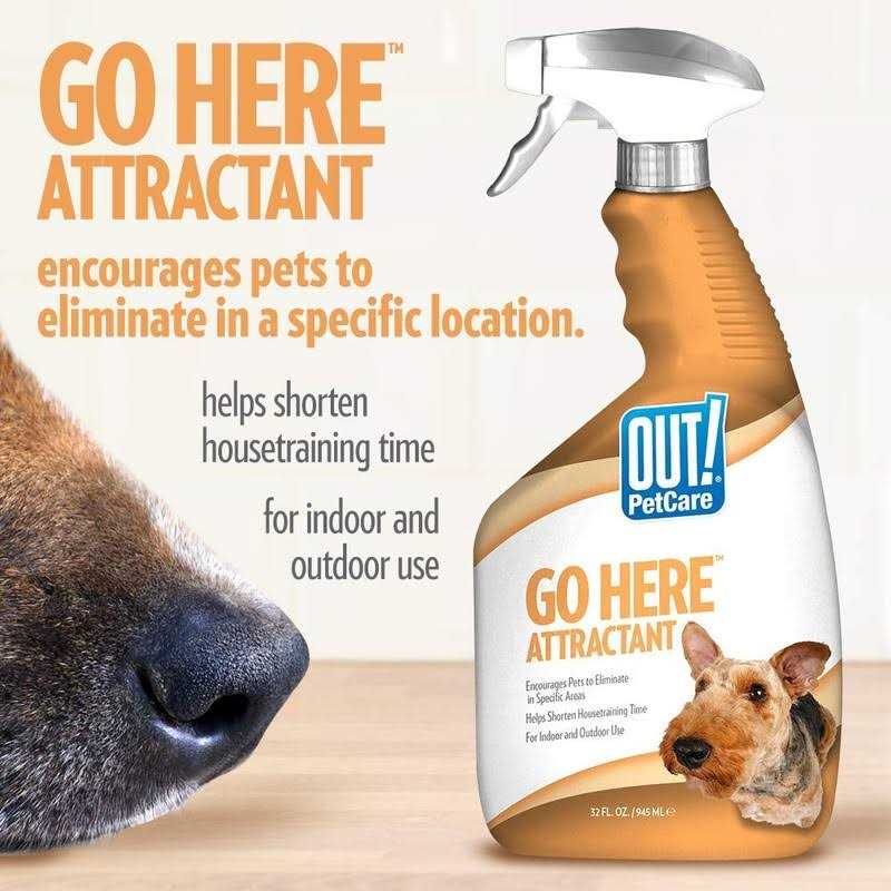 Out! Petcare Go Here Attractant Indoor and Outdoor Dog Training Spray - Nail Gallerys