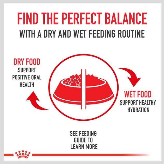 Royal Canin Veterinary Diet Urinary SO Aging 7+ Dry Dog Food - Nail Gallerys