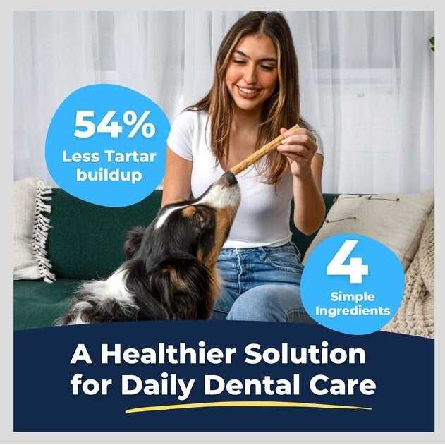 Tartar Shield Soft Rawhide Chews Dogs - Nail Gallerys