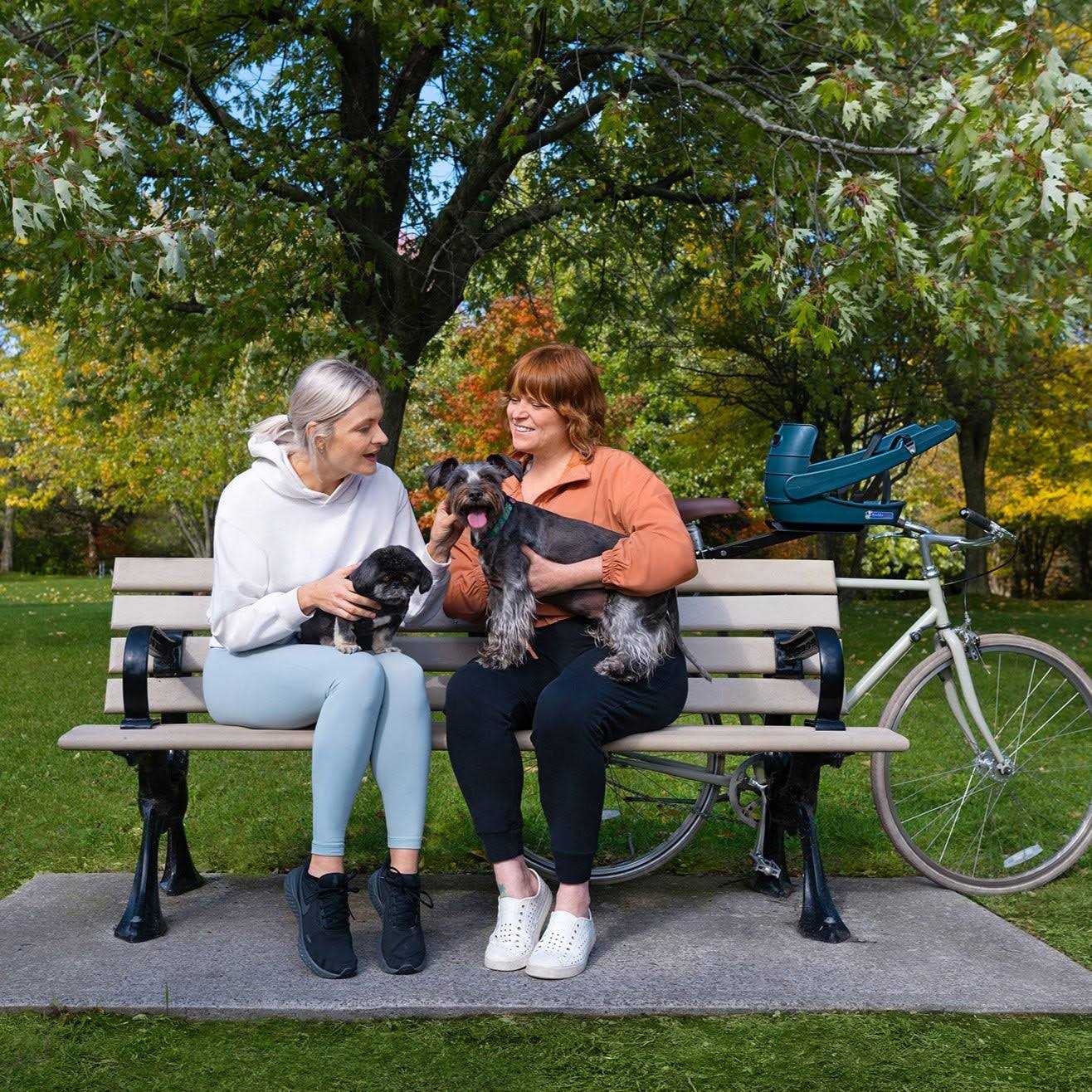 Buddyrider Dog Bicycle Seat Safety Dog Bike Seat For Dogs Up To 25 lbs - Nail Gallerys