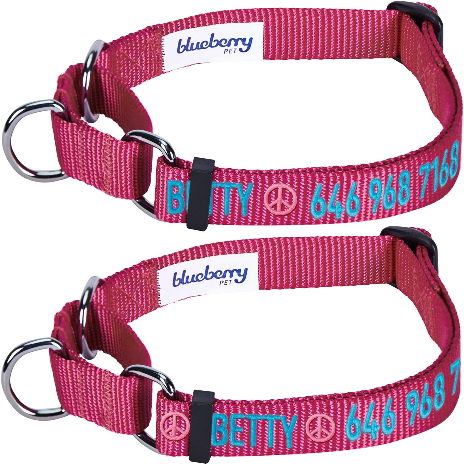 Blueberry Pet Martingale Safety Training Dog Collar - Nail Gallerys