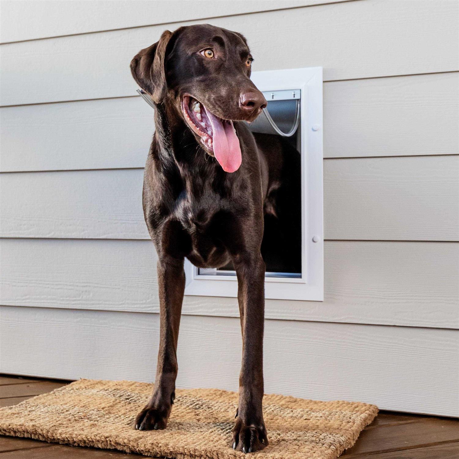 PetSafe Wall Entry Pet Door - Nail Gallerys