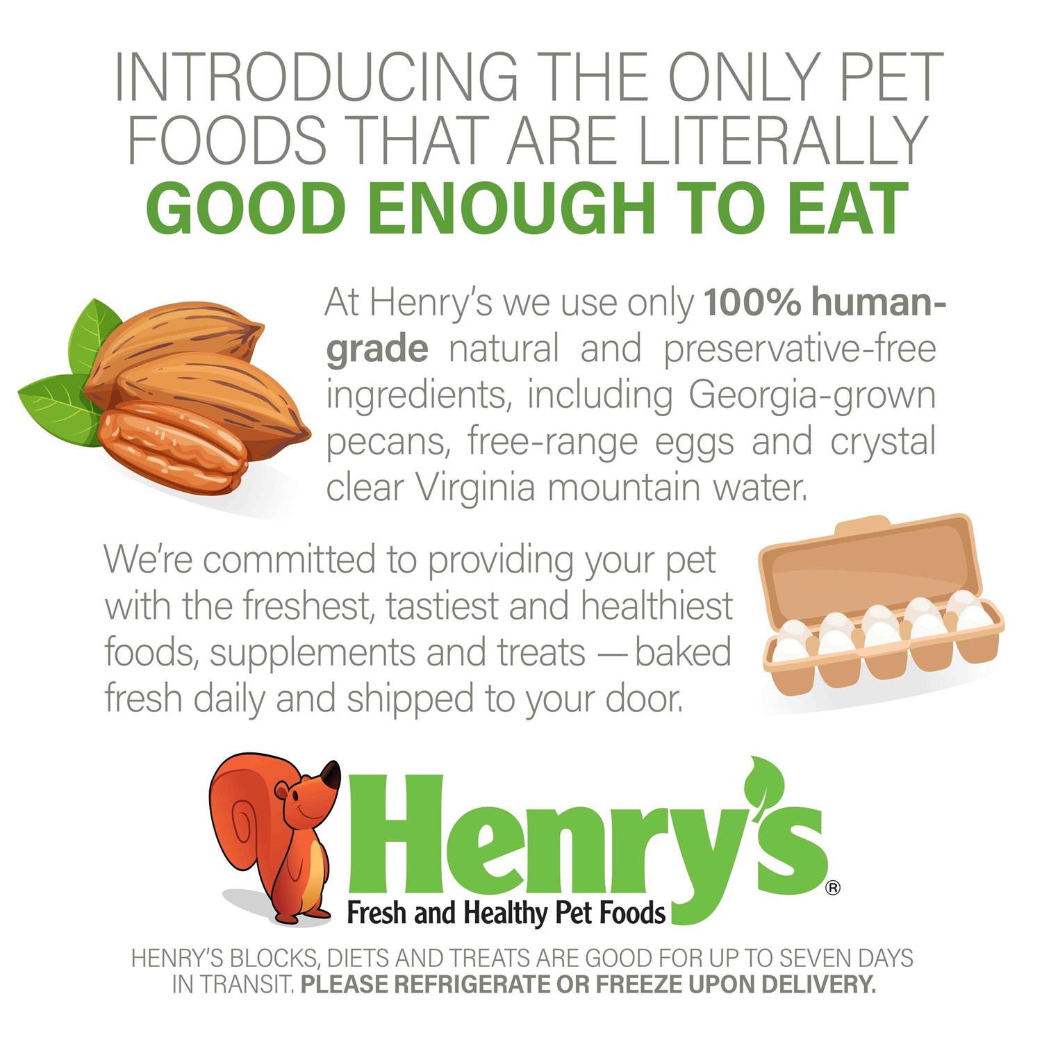 Henry’s Healthy Blocks Nutritionally Complete Food for Squirrels, Flying Squirrels, and Chipmunks - Nail Gallerys