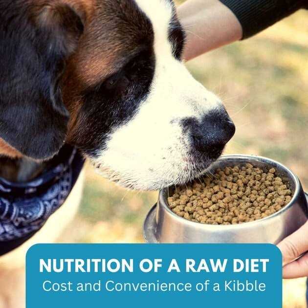 Ketona Chicken Recipe Adult Dry Dog Food Natural Low Carb High Protein - Nail Gallerys