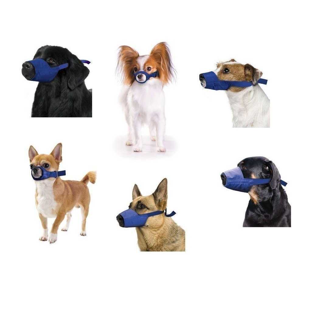 Four Flags Quick Muzzle Xxs - Nail Gallerys