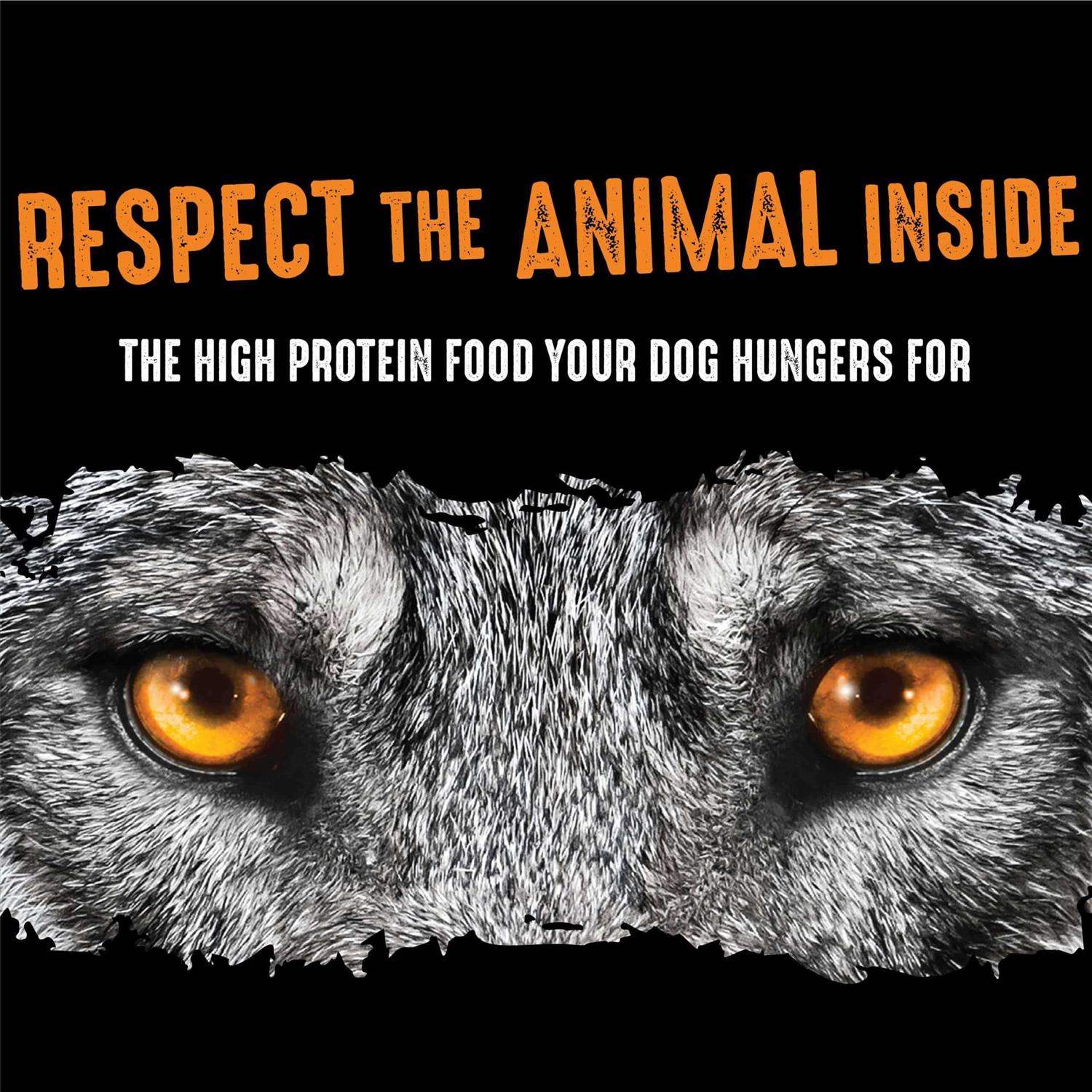 Crave Grain Free Adult Dry Dog Food with Protein - Nail Gallerys