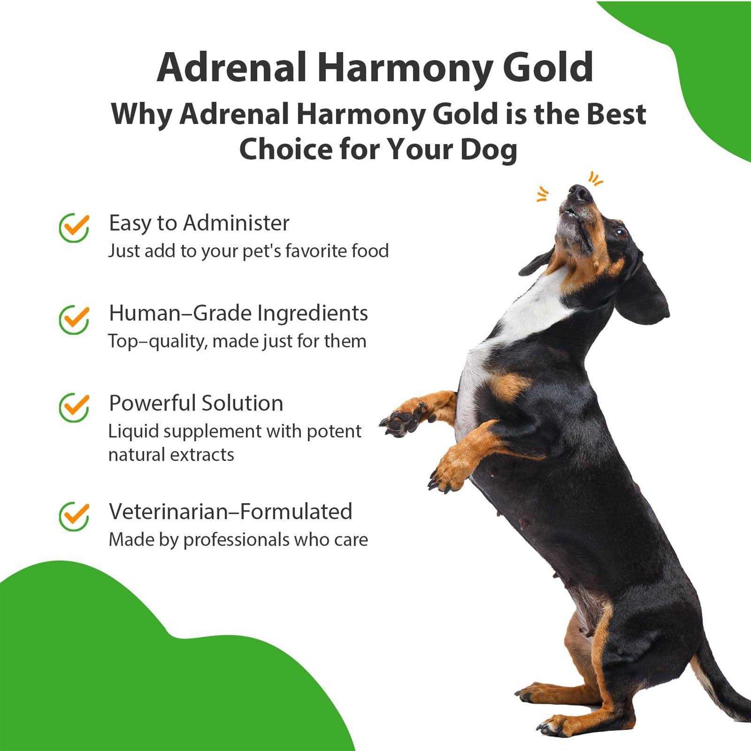 Pet Wellbeing Adrenal Harmony Gold for Dog Cushing’s - Nail Gallerys